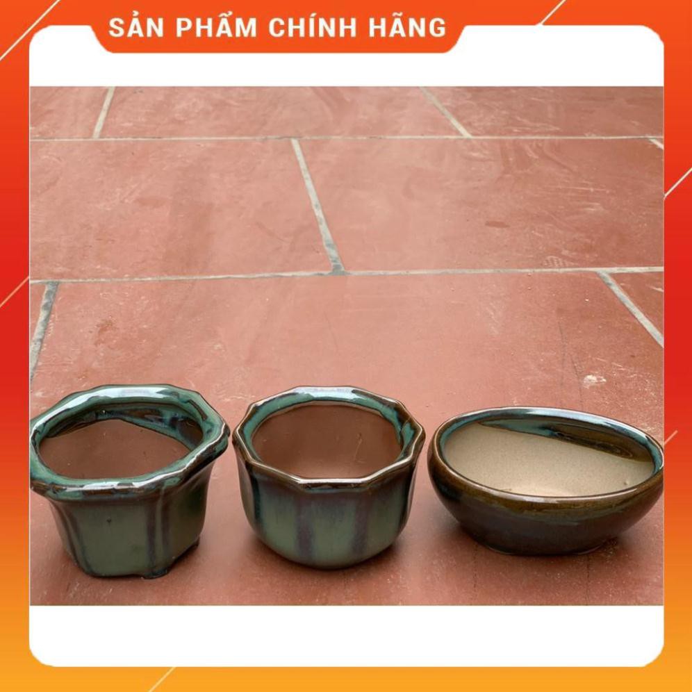 [SP BÁN CHẠY] -  Chậu sứ trồng cây, bon sai, sen đá mini