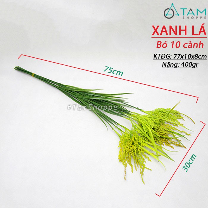 [ CAO CẤP - Y THẬT] Set 10 cành bông lúa giả trang trí 75cm