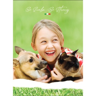 Simba / Pate simba cho mèo nhập khẩu Ý