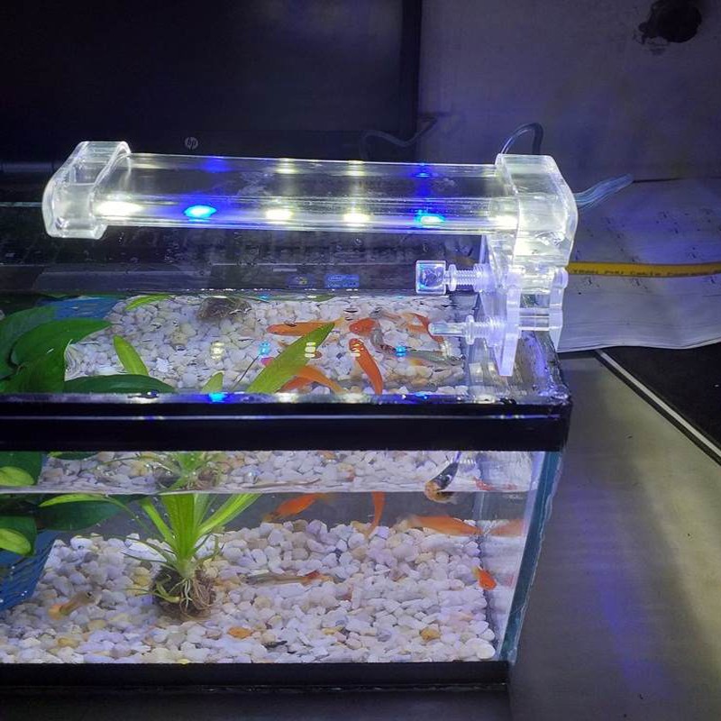 Đèn bể cá mini D10 dành cho hồ từ 15 đến 25cm