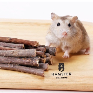 Cành táo mài răng cho Hamster , Sóc, Nhím