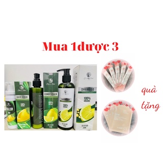 COMBO DẦU GỘI BƯỞI CRD