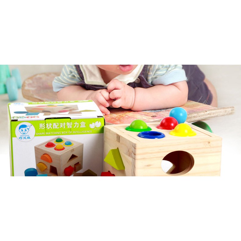 [HCM-GIÁ SỈ]  Đập Bóng Thả Hình  Đồ Chơi Gỗ Montessori ,Màu Sắc Đẹp,Bé Luyện Kỹ Năng Tay và Học Màu Sắc,Hình Khối