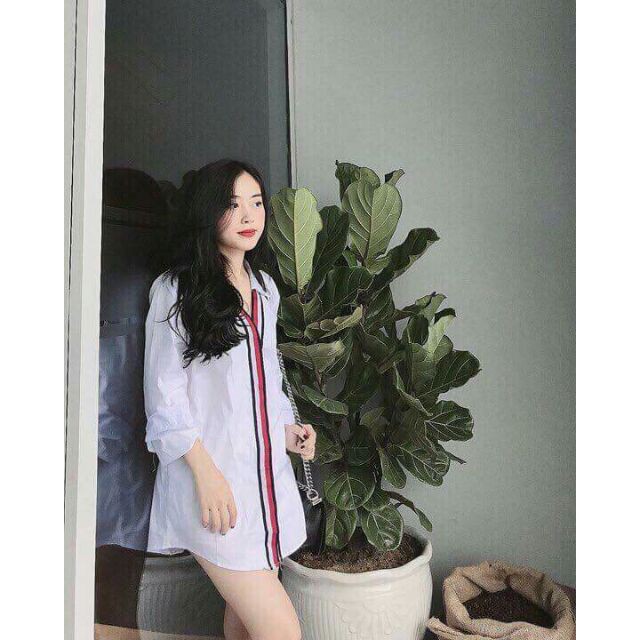 Áo sơ mi viền