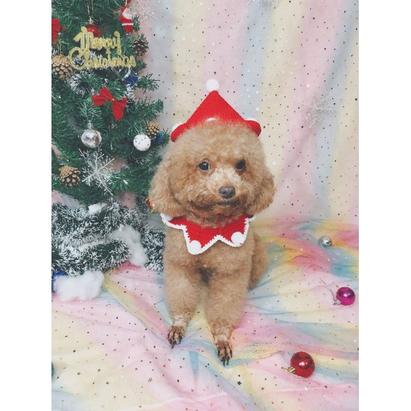 [order] yếm noel cho chó mèo