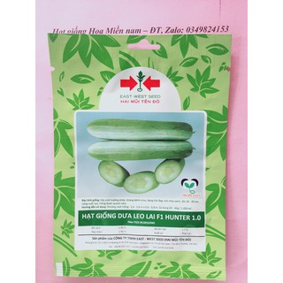 Hạt giống Dưa Leo Hunter 1.0 Gói 35 Hạt - Công ty Hai mũi tên đỏ