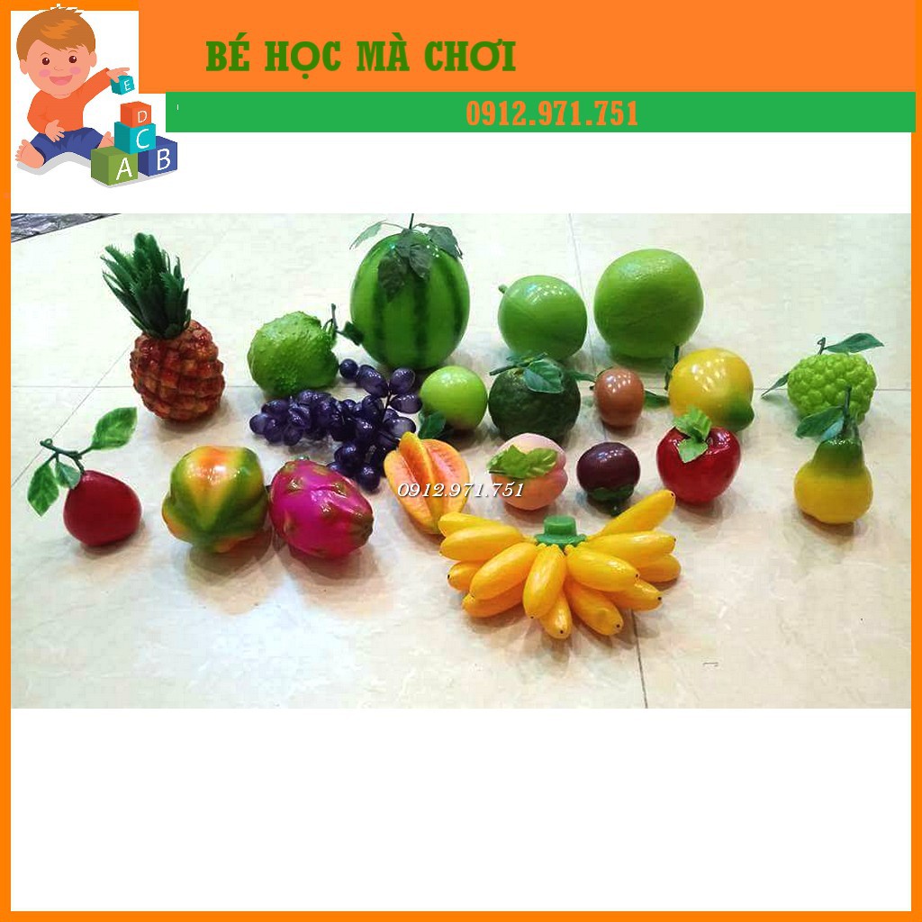 [ẢNH THẬT] Combo trái cây hoa quả nhựa LOẠI TO NHƯ THẬT bày mâm ngũ quả dạy các bé mầm non, trang trí - to đẹp như thật