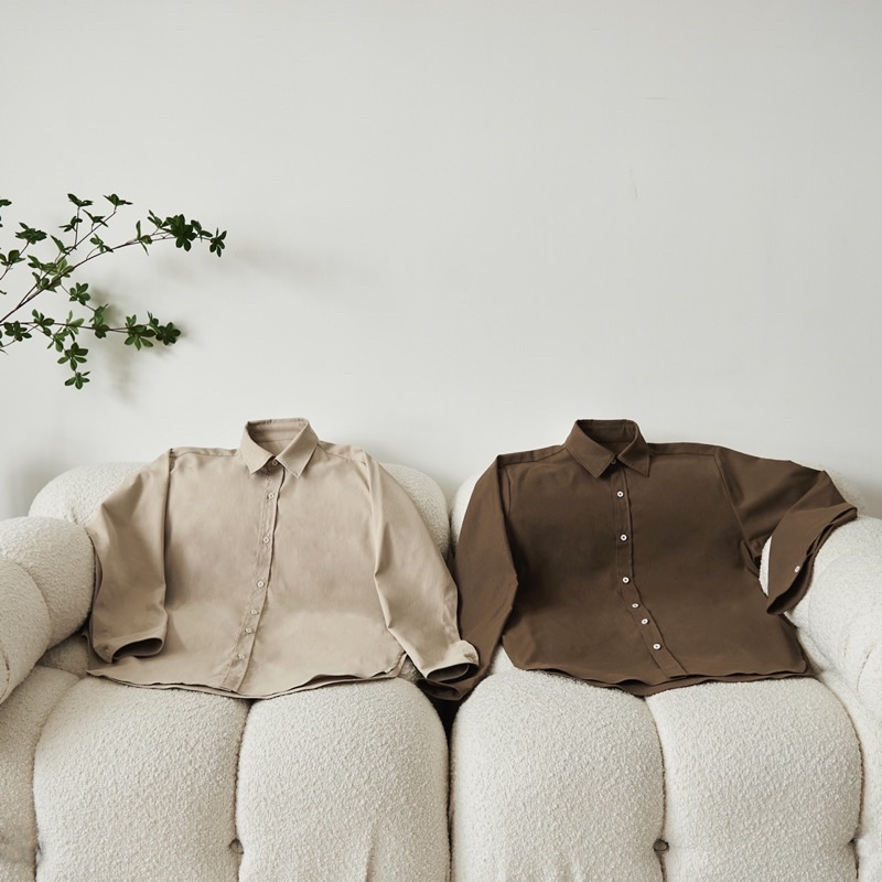 Sơmi lười - sắc