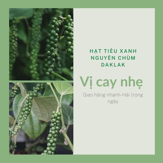 Hạt tiêu xanh nguyên chùm Daklak vị cay nhẹ 500gr, hái trong ngày.