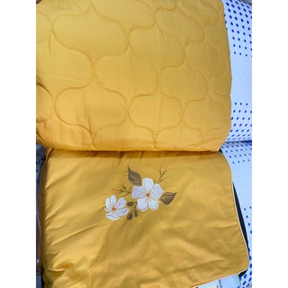 Bộ Drap chun chần EVERON MDSC100