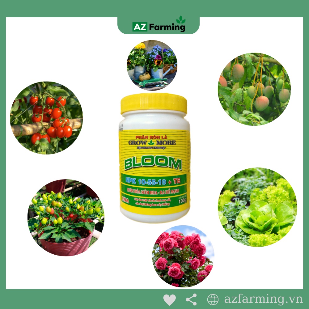 Grow More 10-55-10 +TE (Phân Bón La GrowMore BLOOM) - 100g - AZ Farming
