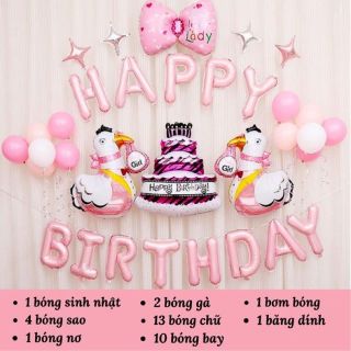Combo Trang Trí Sinh Nhật Cho Bé Tuổi Gà MS001