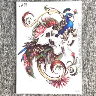 Hình Xăm Dán Phượng Hoàng E238