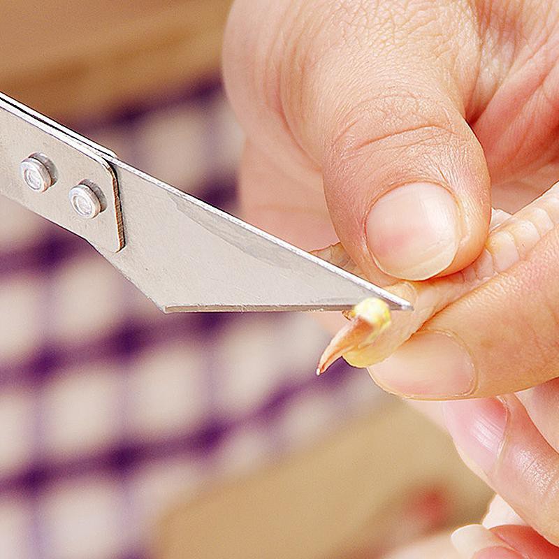 Káº¿t quáº£ hÃ¬nh áº£nh cho nhÃ­p nhá» lÃ´ng gÃ  lÃ´ng vá»t