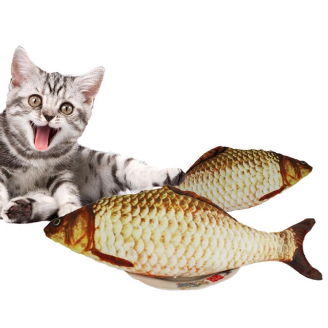 Cá catnip - Đồ chơi cho mèo