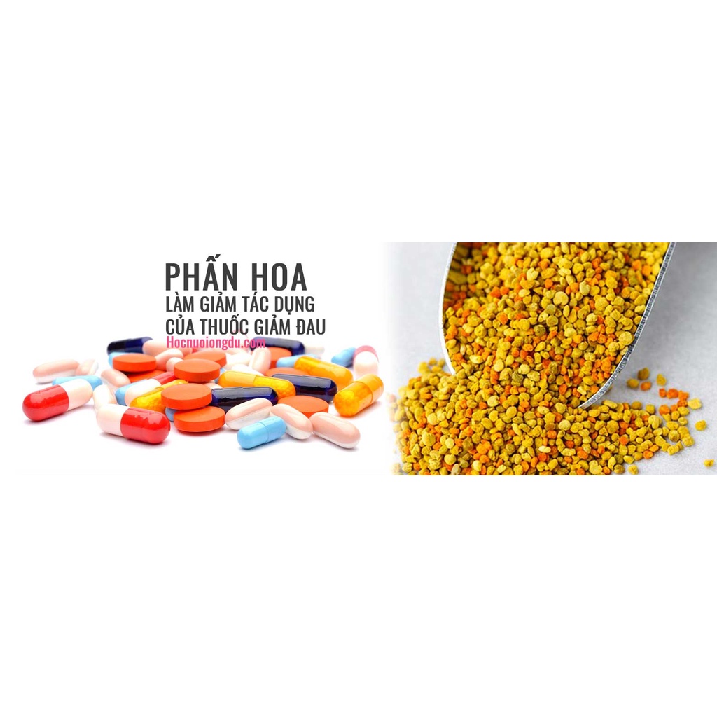 phấn hoa rừng nguyên chất ( túi zip)