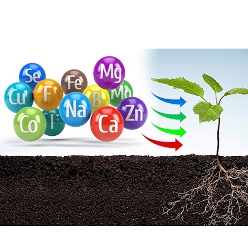 Phân Bón vi lượng Fetrilon COMBI USA nhập khẩu MỸ , Dinh dưỡng thiết yếu cho cây trồng