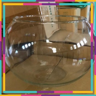 Bể Cá Thủy Tinh Chậu Cây 17cm x 13cm  -  T11