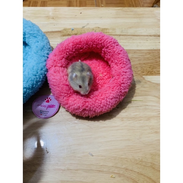 Đệm tròn ấm cho pets