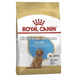 THỨC ĂN DÀNH CHO GIỐNG CHÓ POODLE 500GR - ROYAL CANIN POODLE JUNIOR( CHÓ DƯỚI 10 THÁNG TUỔI)