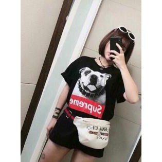 Áo supreme chó bug