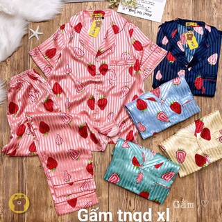 Đồ Bộ Pijama XL GẤM HOẠT HÌNH TNQD - Form 60-70KG