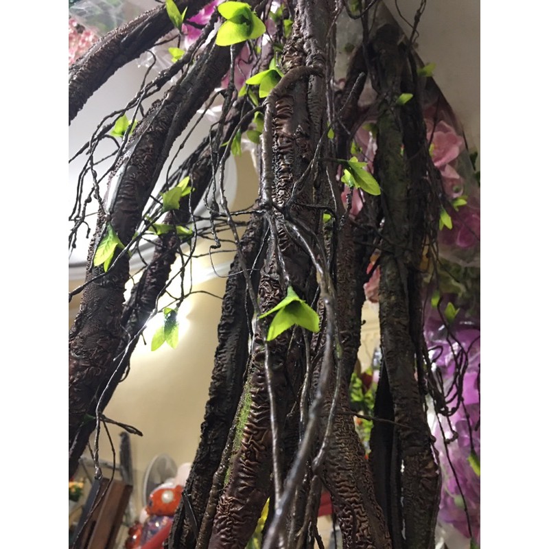 Cây trang trí Thân cổ mộc trang trí dài 1m5