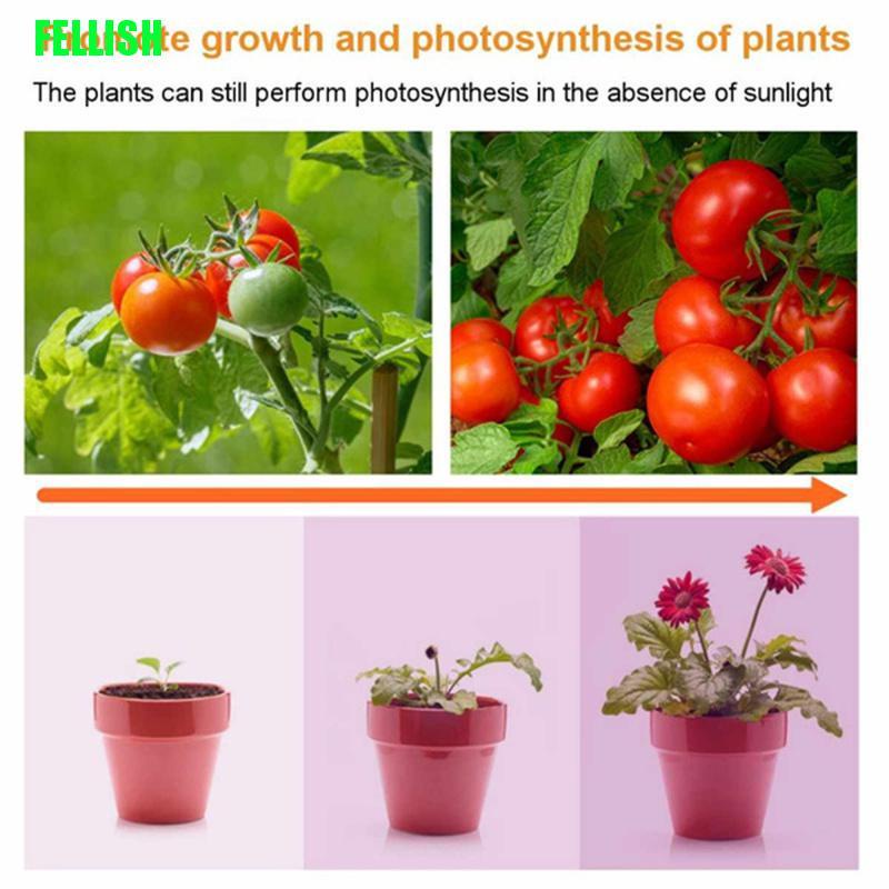 Đèn Led Kích Thích Tăng Trưởng Toàn Diện Cho Cây Thủy Canh Ligh 436v