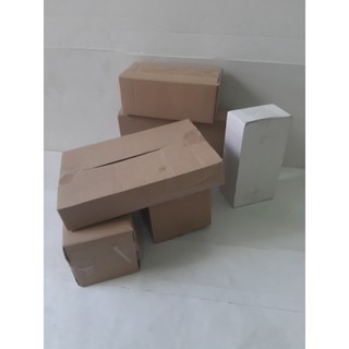 Hộp carton 20x15x6, số lượng: 85 hộp_Eva carton