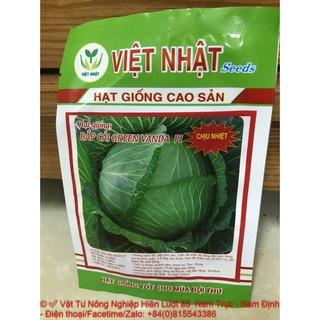 Hạt giống bắp cải green vanda chịu nhiệt-vtnn hiền lượt