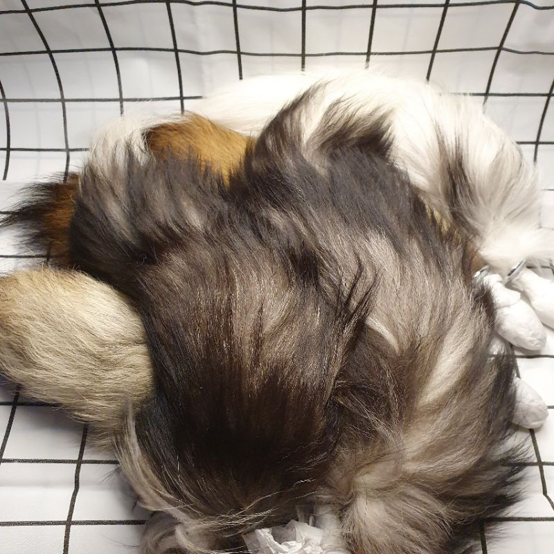 [CÓ SẴN] Đuôi Cáo | Hồ Ly | Sói Cosplay Lông Xù Cực Sexy | BigBuy360 - bigbuy360.vn