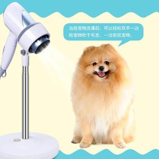 Máy sấy tóc, máy sấy tóc, máy sấy tóc, máy sấy tóc, máy sấy tóc, máy sấy tóc, máy sấy tóc