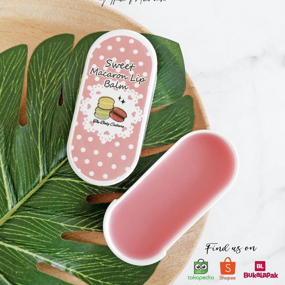 (Hàng Mới Về) Son Dưỡng Môi Màu Macaron 5.5 I Giá Rẻ | BigBuy360 - bigbuy360.vn