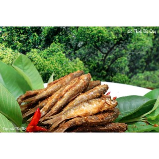CÁ THÍNH BÀ QUY (CÁ TRÔI NHÂN ) 500g