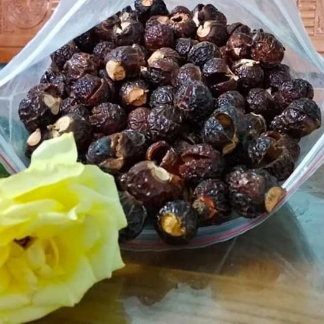 BỒ HÒN TÁCH HẠT