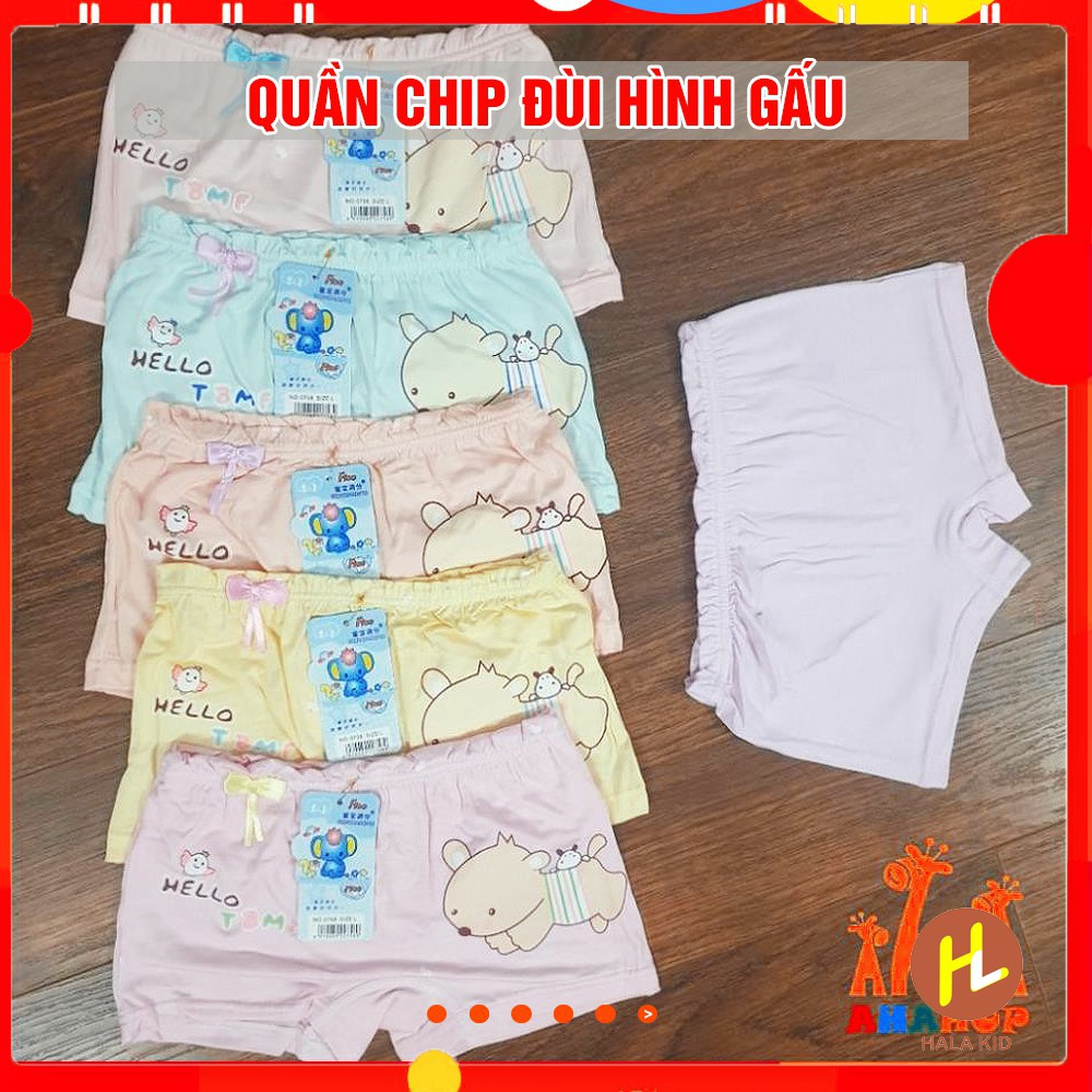 Combo 5 Quần chip đùi, quần lót THẮT NƠ cotton mịn nhiều mẫu cho bé gái (7-35kg) QATE0105