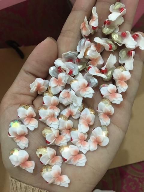 Hoa ngậm đá khối đang hot lắm ah | BigBuy360 - bigbuy360.vn