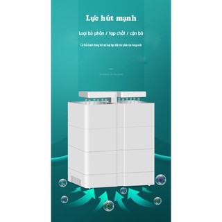 Bộ lọc rùa dàn mưa kép