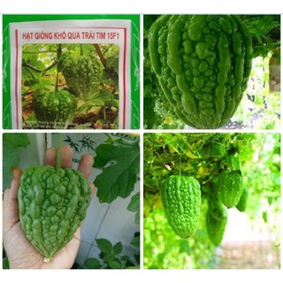 Hạt Giống Khổ Qua trái tim F1 Thái Lan 3 hạt - tặng kèm 3 viên nén ươm hạt nhanh nảy mầm -HGT