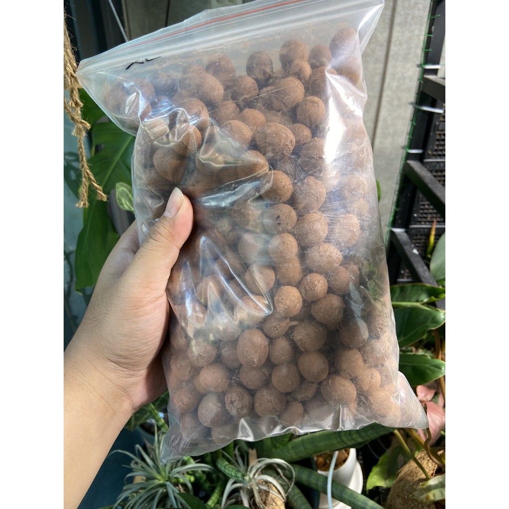 Sỏi nung, sỏi nhẹ, LECA , đất nung Thái  túi lẻ 2L ~ 700gr ! Lót đáy chậu , rải mặt , thủy canh đa dụng !