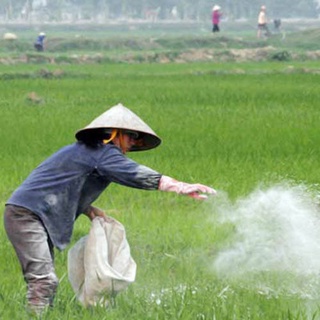 1kg Vôi Nông nghiệp Tinh Vôi 98 Siêu Sát Khuẩn Xử Lý Đất Trồng SHIP 30 PHÚT. KHO TẠI QUẬN 11, 7,9, THỦ ĐỨC VÀ PHÚ nhuận