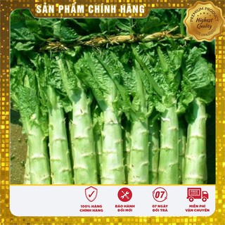 Hạt Giống Rau Diếp Tây (1gr)