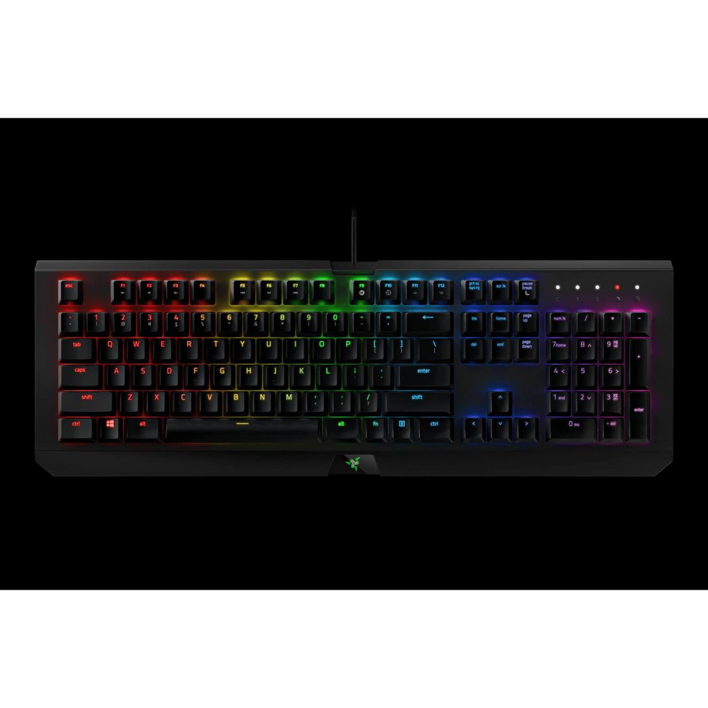 Razer Blackwidow X Chroma