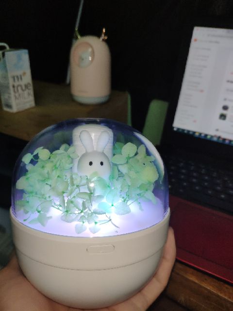 [Hàng Loại 1]Máy Xông Tinh Dầu Dùng Pin Sweer Rabbit humidifier Dùng PIN Dung Lượng 450 Mah dùng 5-6 tiếng