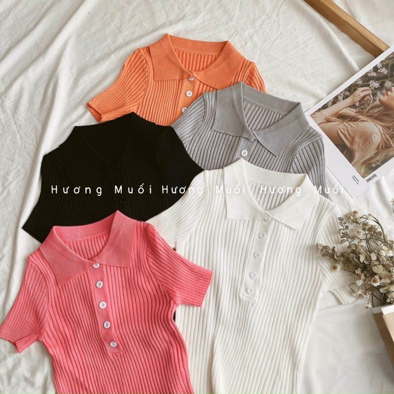 Áo len cộc tay cổ bẻ cài cúc - len đũa 5 cúc