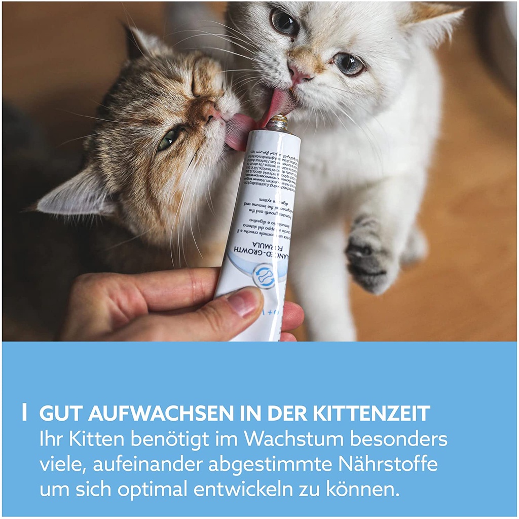 Gel dinh dưỡng Gimcat Kitten Gel dinh dưỡng cho mèo con phát triển toàn diện GG08