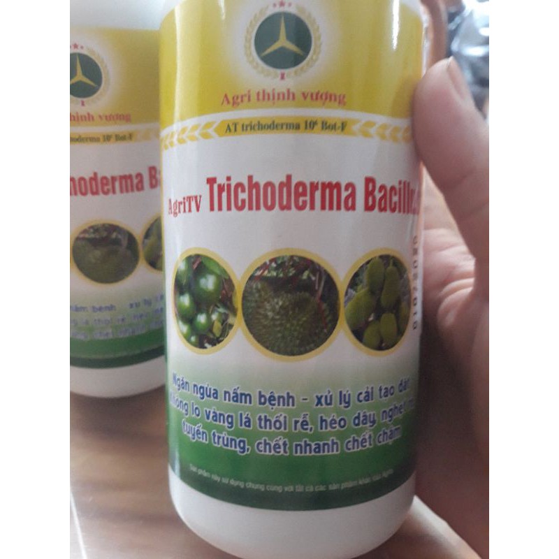 Phân bón chăm sóc cây mít phòng vàng lá thối rễ, tăng chống chịu thời tiết