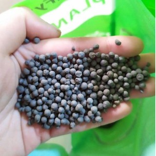 250g - Phân nền cho cây thủy sinh. Phân nền nhập khẩu Taiwan.