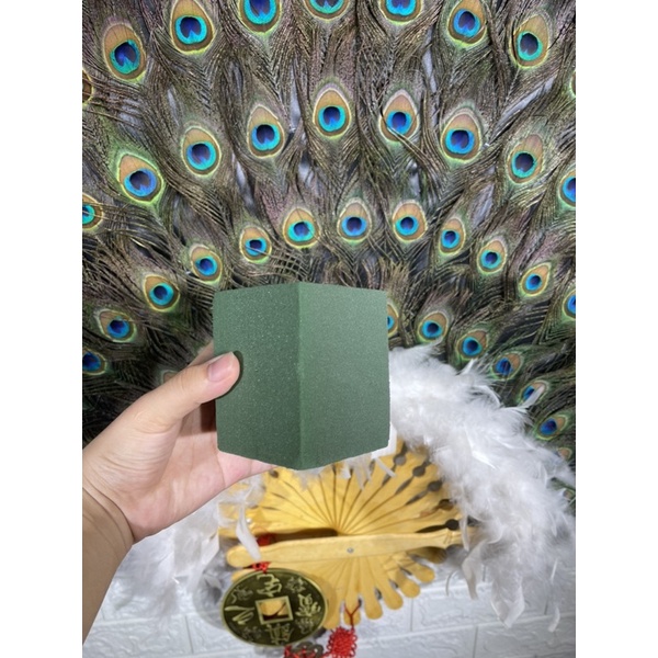 Xốp Xanh Cắm Lông Công - Cắm Hoa