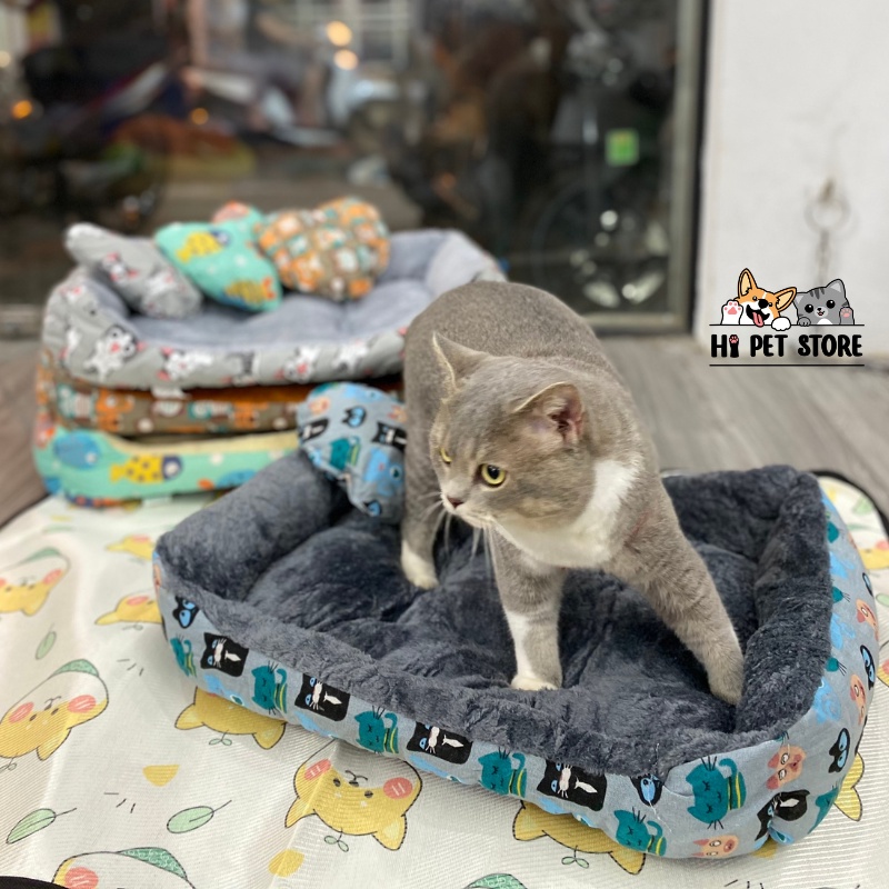 Đệm cho thú cưng kèm gối trái tim cao cấp đế chống trượt, ổ đệm chó mèo mẫu mới 2022
